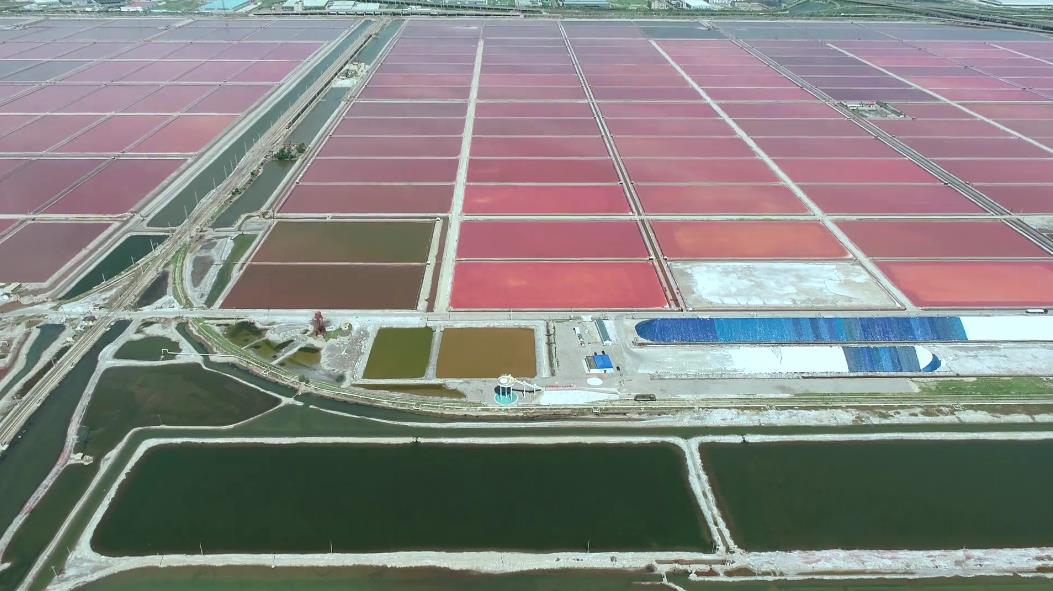 �����^(gu��n)���_(t��i)���߲��}��